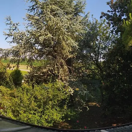 Ca D'artisti 4* Ca Corniani