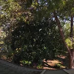 Ca D'artisti Bed & Breakfast