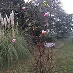 Ca D'artisti Frühstückspension 4*