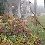 Ca D'artisti 4*