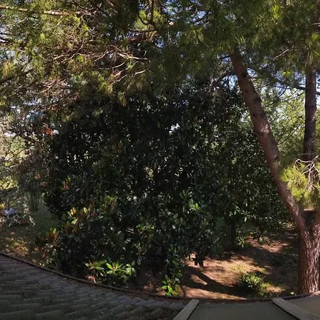 Ca D'artisti Bed & Breakfast