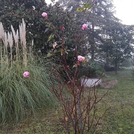 Ca D'artisti Bed & Breakfast 4*