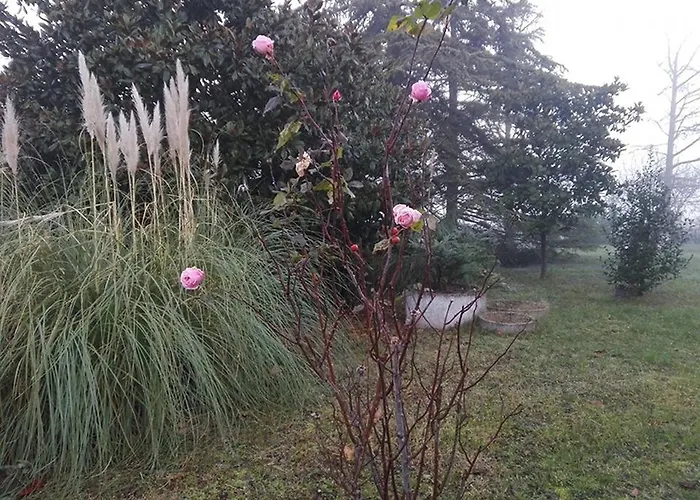 Ca D'artisti Oda ve Kahvaltı 4*